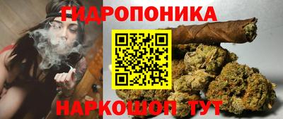 spice Дубна