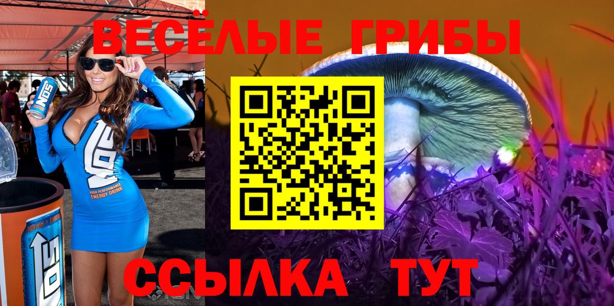 Псилоцибиновые грибы Cubensis  Вход с VPN  Медногорск 